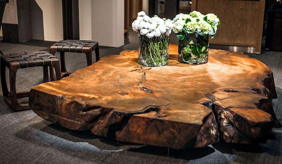 LA SECONDA VITA DEL LEGNO