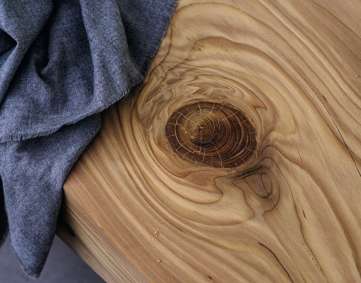 Legno di cedro Gallery