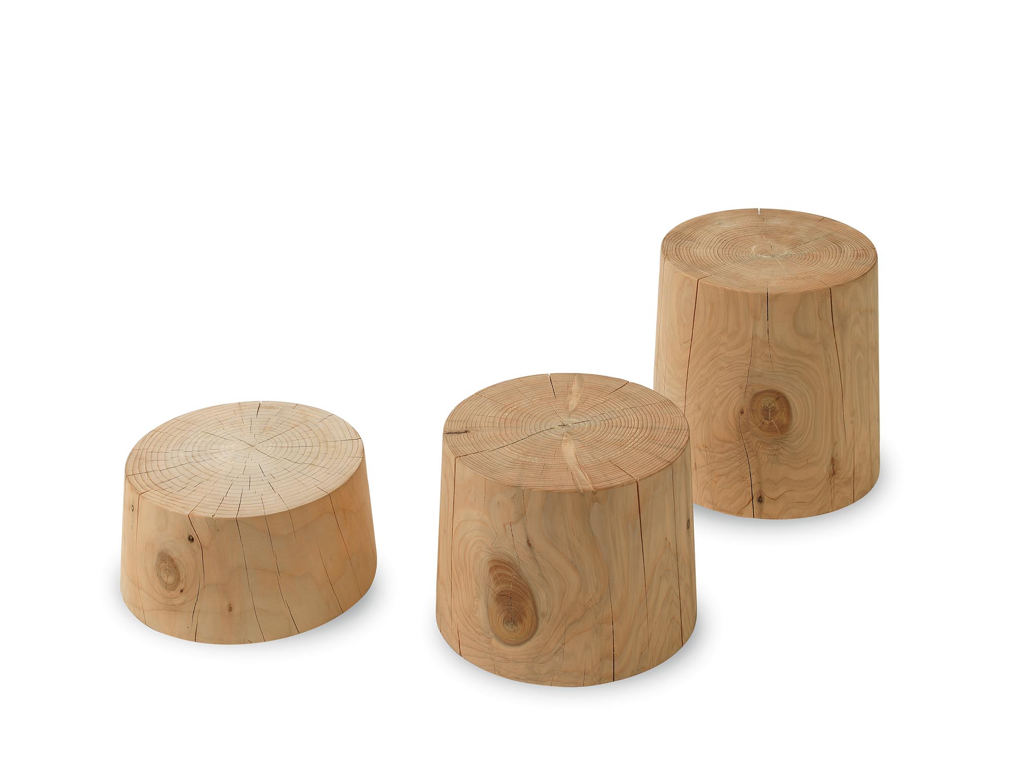 LEGNO VIVO Gallery 4