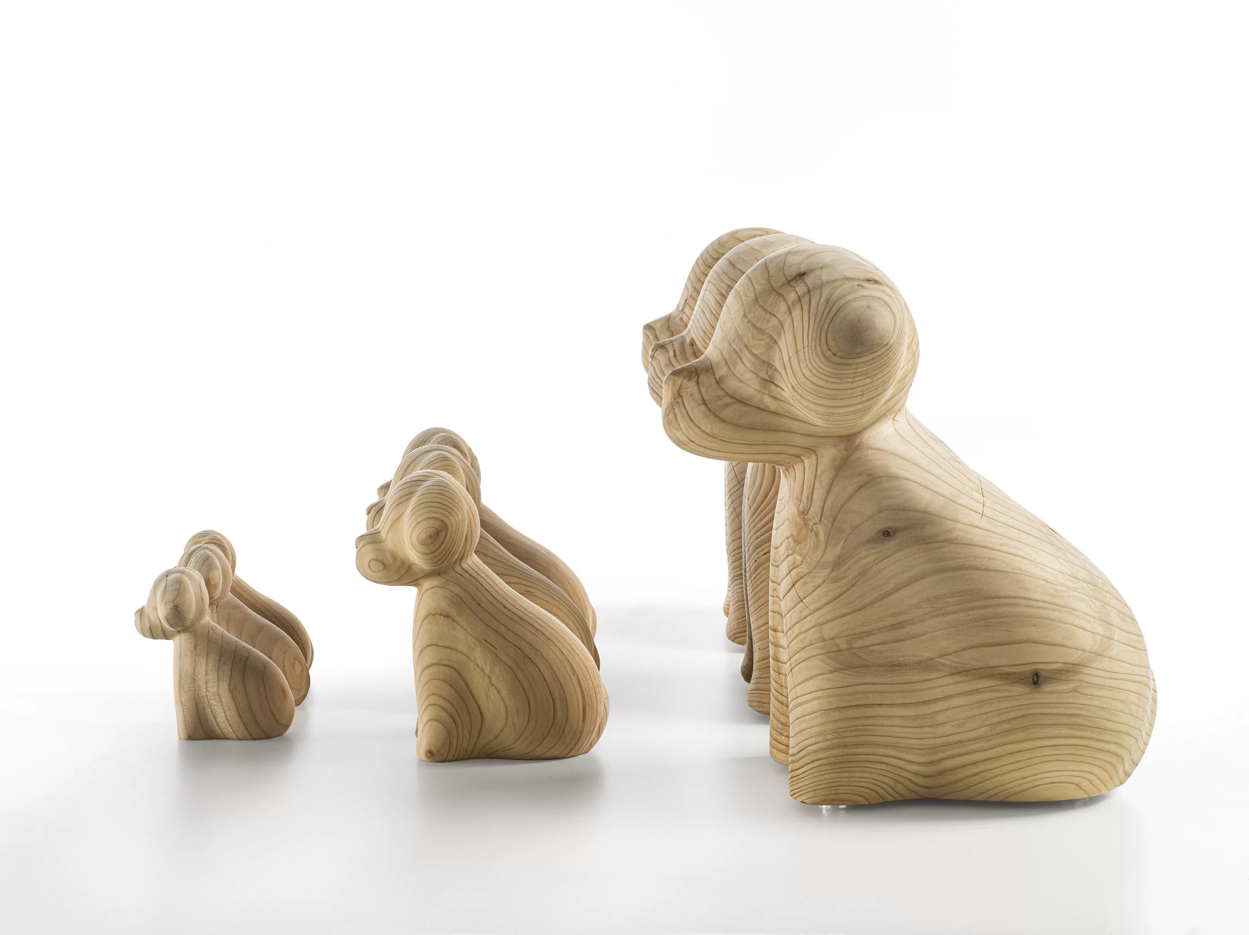 WAN Gallery 7